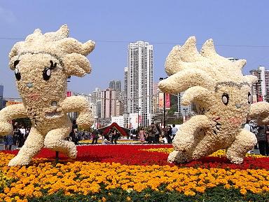香港花卉展覧2009~HONGKONG FLOWER SHOW~_e0155771_20382694.jpg