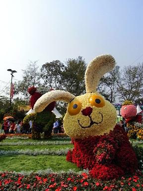 香港花卉展覧2009~HONGKONG FLOWER SHOW~_e0155771_203842100.jpg