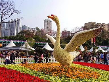 香港花卉展覧2009~HONGKONG FLOWER SHOW~_e0155771_20385381.jpg