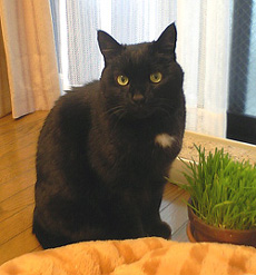 f0140271_0382168.jpg