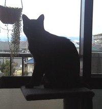 f0140271_0415497.jpg