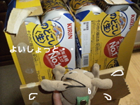 c0158573_200790.jpg