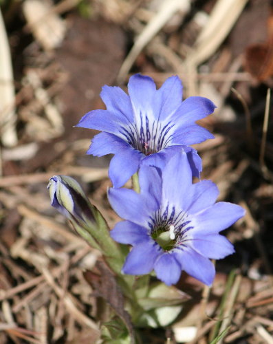 f0181173_15162353.jpg