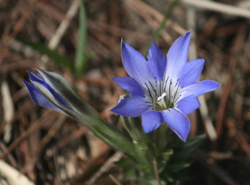 f0181173_1516588.jpg