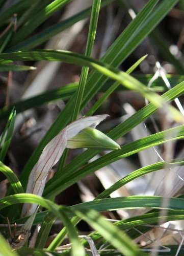 f0181173_152115100.jpg