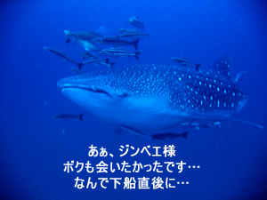 速報!!_f0144385_1218247.jpg