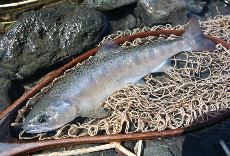 f0166390_21165972.jpg