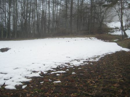 c0099395_1142563.jpg