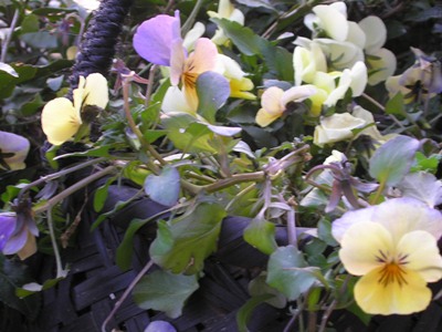 c0156104_23564514.jpg