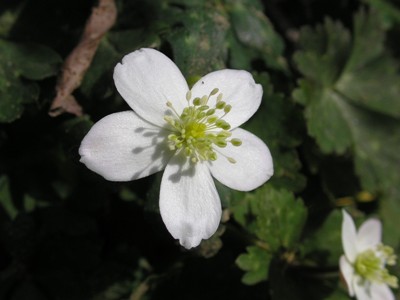 c0156104_2359091.jpg