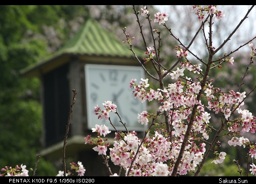 b0111106_23484675.jpg