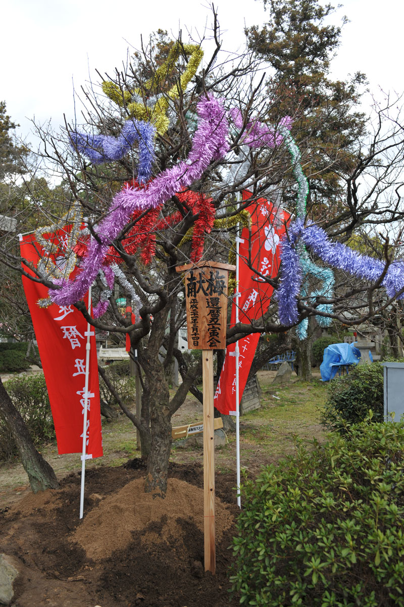 a0042310_1753995.jpg