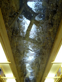 c0177910_9552916.jpg