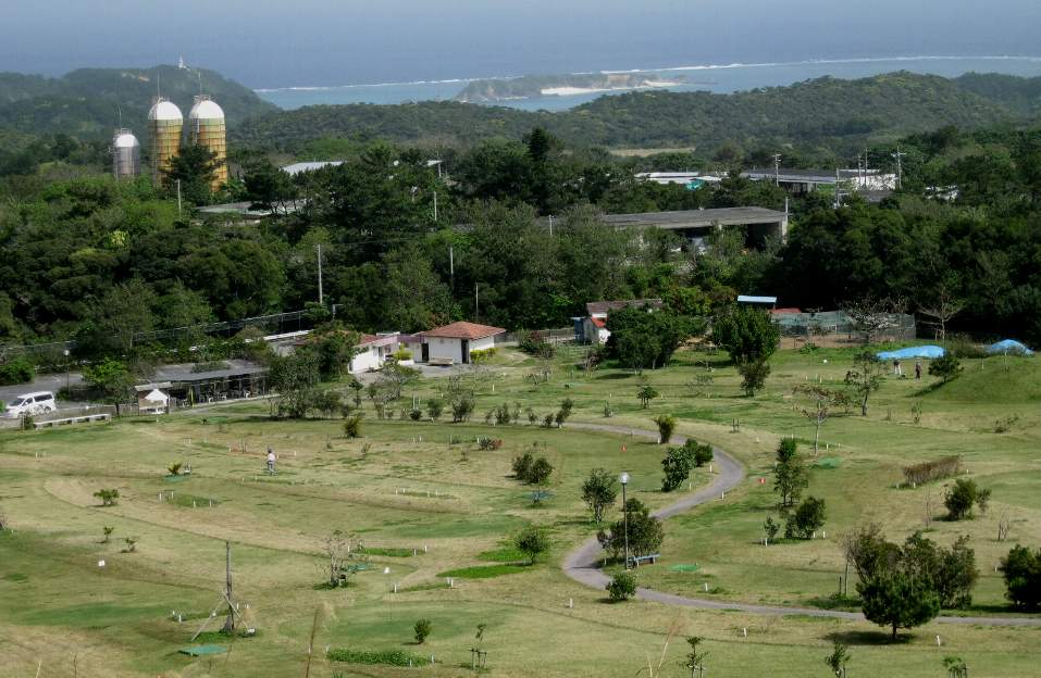 e0003910_1735766.jpg