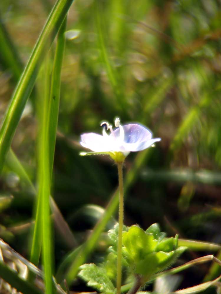 c0145418_16402910.jpg