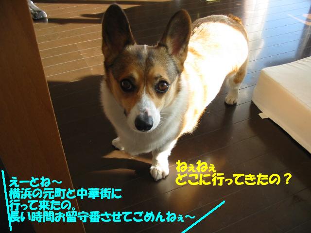 f0182121_2155585.jpg