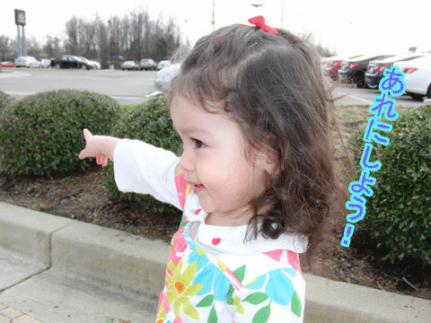 c0151122_12213447.gif