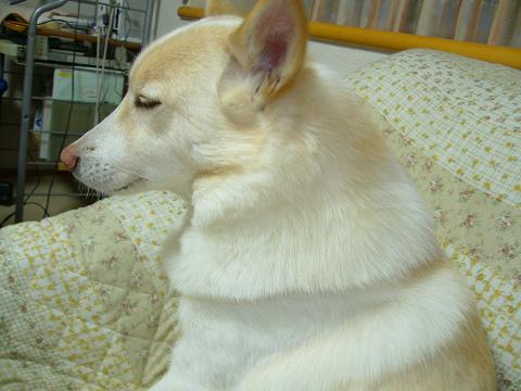 b0138430_19512280.jpg