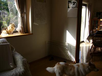 b0138430_20145385.jpg
