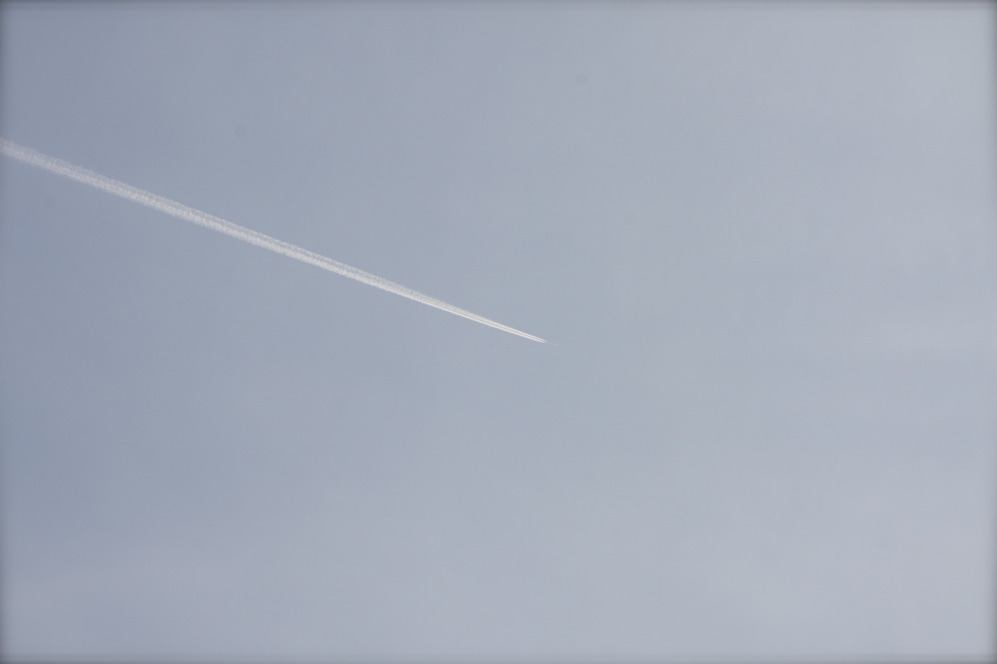 a0072337_18335521.jpg