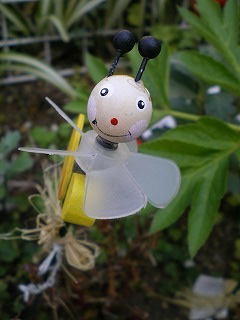 greenbirdに遭遇!_e0105047_174351.jpg