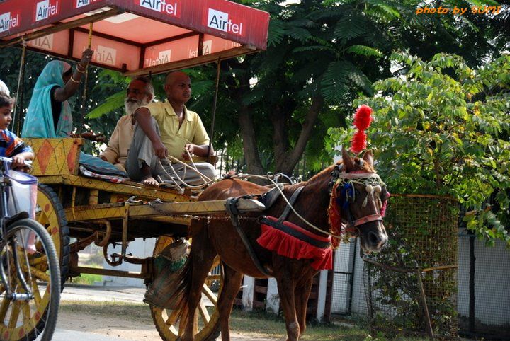 インド写真1_b0002156_19181429.jpg