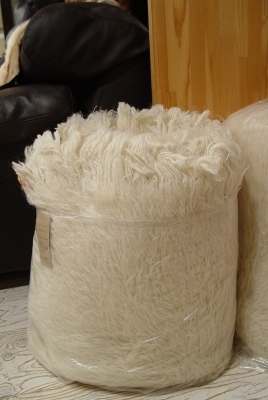 a0096367_23141771.jpg