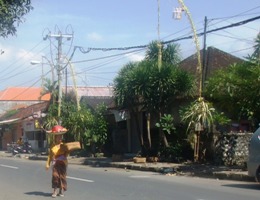 d0083068_1463287.jpg