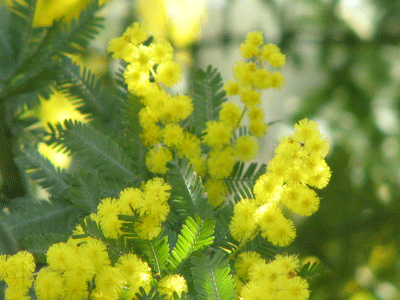 d0050472_01655100.gif