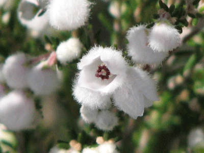 d0050472_18424225.gif