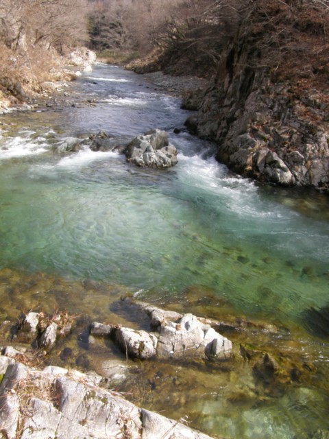 554 渓流解禁待つ男鹿川 : 植野稔の自然遊悠学 イワナだ！ ヤマメだ
