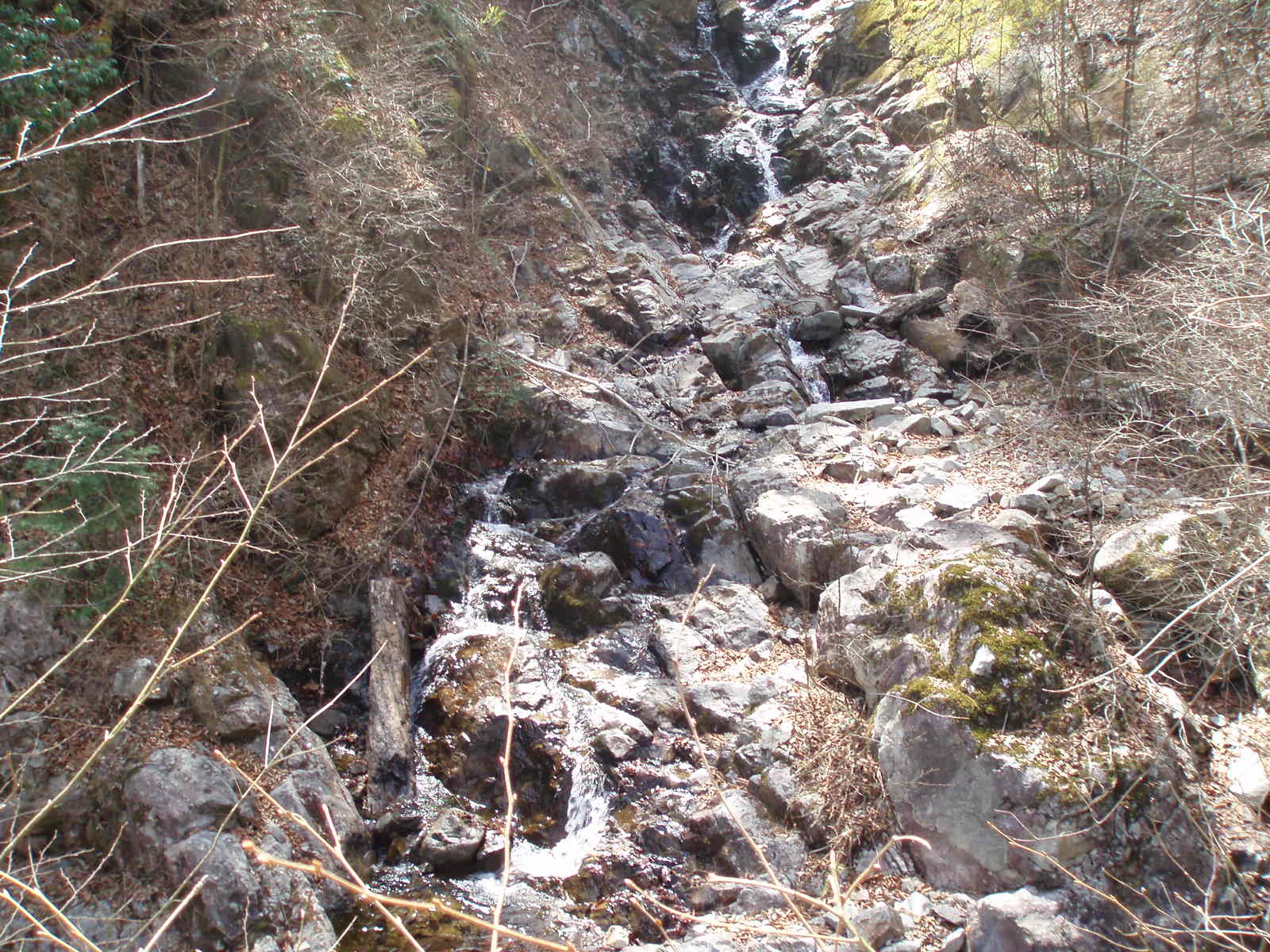e0137390_19649.jpg
