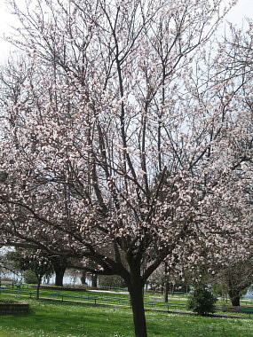 ちょっぴり春を感じに公園へ_f0058691_7564645.jpg