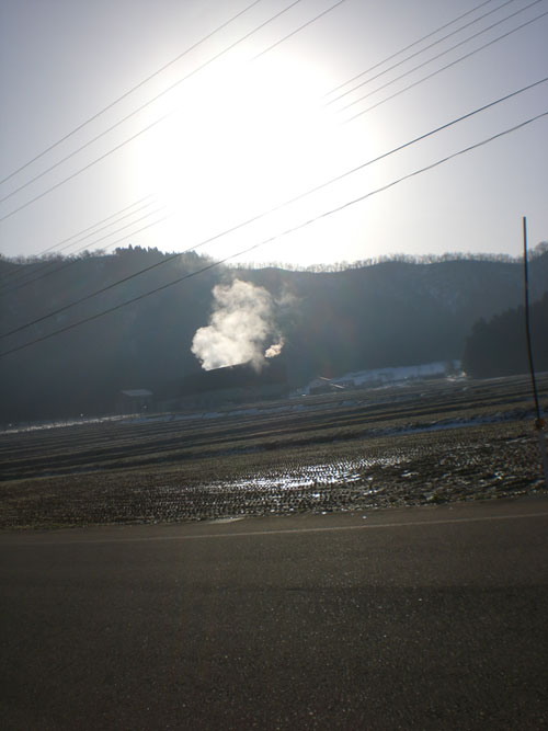 cold&warm_d0112893_1556524.jpg