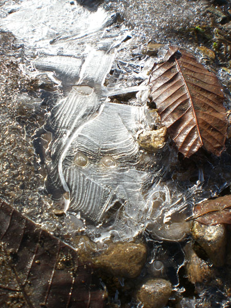 cold&warm_d0112893_15584035.jpg