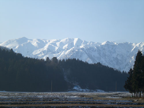 cold&warm_d0112893_15584110.jpg