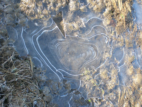 cold&warm_d0112893_1559943.jpg