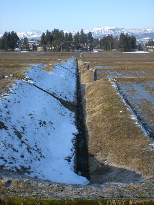 cold&warm_d0112893_1624642.jpg