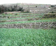 f0180200_08440.jpg