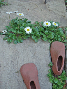 c0129702_10432427.gif