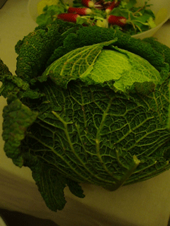 c0129702_164047.gif