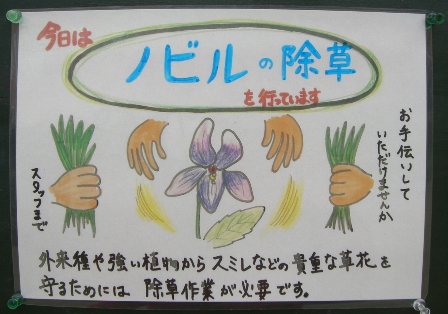 草ぬきお手伝い募集_b0049307_21352120.jpg