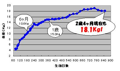 2歳4ヶ月と1日_c0113109_23264734.jpg