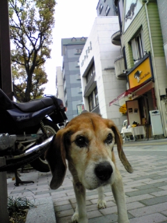 e0119327_1312594.jpg