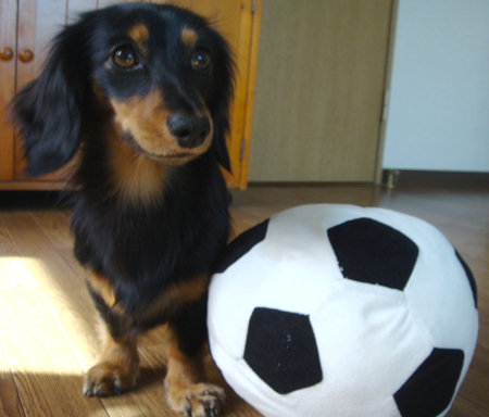 c0117831_21524430.jpg