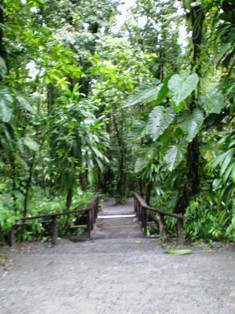 a0085632_0562272.jpg