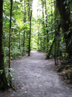 a0085632_0563018.jpg