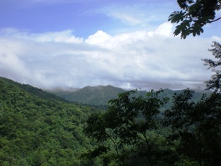 a0085632_0565983.jpg