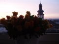 c0180339_1948159.jpg