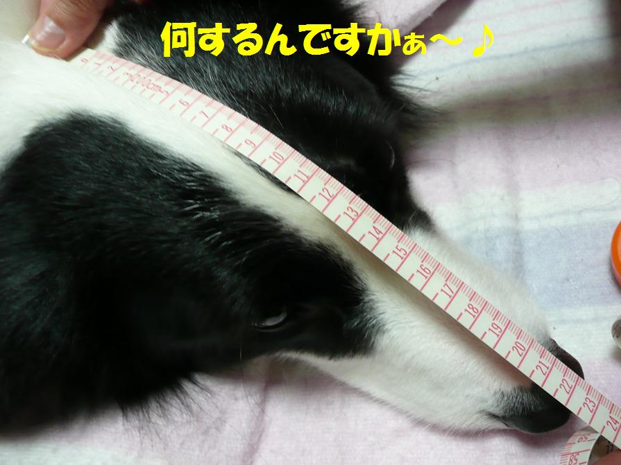 c0147241_0121926.jpg